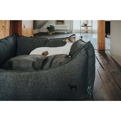 Livingston Dog Sofa