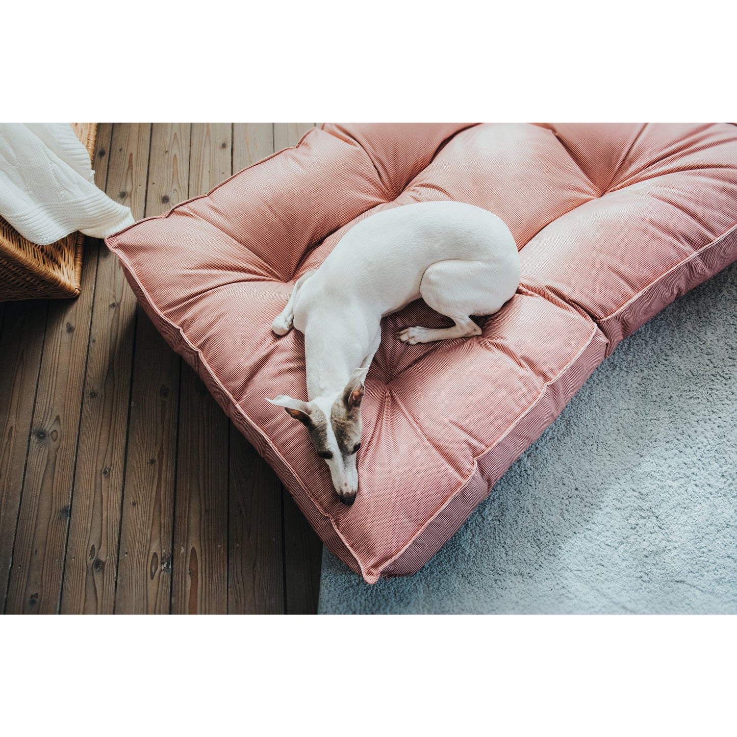 Lancaster Dog Cushion