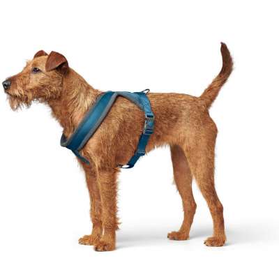 London Comfort Dog Harness