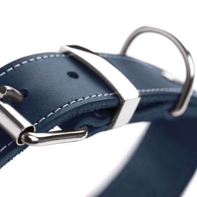 Aalborg SPECIAL Leather Dog Collar