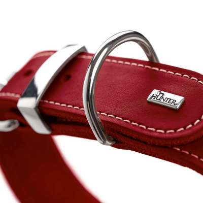 Aalborg SPECIAL Leather Dog Collar