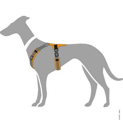 Maldon Nylon Harness