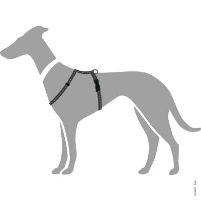 Tripoli Dog Harness